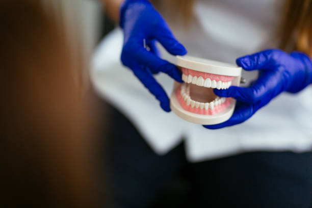 Emergency Dental Services in Parole, MD